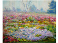 Giardino con fiori